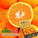 �����݂��� ���Q���Y �S�[���h�痼 ���̊ۂ݂��� ���G�i ��5kg SS�T�C�Y 70�`80�� ���� ���� JA���F�a���^