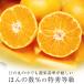 �����݂��� �S�[���h�痼 ���Q���Y ���̊ۂ݂��� ���G�i ��5kg M�`L�T�C�Y 40�`50�� JA���F�a���^ �֘A�摜2