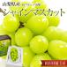  виноград автомобиль in мускат Yamanashi префектура производство примерно 550g 1.. земля культивирование 