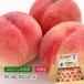  peach Fukushima prefecture production mi speech Special preeminence goods approximately 5kg 13~22 sphere 