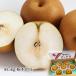  груша .... груша Tochigi префектура производство примерно 5kg 6~9 шар Tochigi префектура оригинал товар вид 