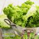 reta screen beji. low kalium lettuce 20 sack ( approximately 65g|1 sack )