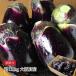  eggplant Osaka (metropolitan area) production Izumi . water eggplant with translation approximately 1.8kg 10~14 piece 