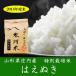 はえぬき 白米 10kg (５kg×２袋) 特別栽培米 山形 氷河米 山形県産 米 お米