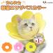 e licca la Elizabeth collar cat cat light weight soft -stroke less reduction scratch lick prevention for pets soft Elizabeth collar LaLUCA