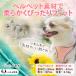 �� �n�[�l�X ���^�� ���^�� ��^�� ���[�h �Z�b�g ������� �����ɂ��� �L �\�t�g�n�[�l�X �E�F�A�n�[�l�X ���� �C�k �l�R �y�b�g ���[�h�t�� �����Ȃ� LaLUCA �֘A�摜3