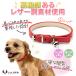 �� ��� �L ��� ������� �� ��� �X�^���_�[�h PU ���U�[ �V���v�� ���^�� ���^�� �h�b�O  ���������� �U�� �l�C LaLUCA �|�C���g���p �֘A�摜3