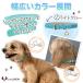 �� ��� �L ��� ������� �� ��� �X�^���_�[�h PU ���U�[ �V���v�� ���^�� ���^�� �h�b�O  ���������� �U�� �l�C LaLUCA �|�C���g���p �֘A�摜4
