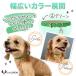 �� ��� �L ��� ������� �� ��� �X�^���_�[�h PU ���U�[ �V���v�� ���^�� ���^�� �h�b�O  ���������� �U�� �l�C LaLUCA �|�C���g���p �֘A�摜5
