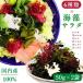 6 kind Kyushu seaweed salad 50g × 2 sack dry domestic production free shipping . tortoise stem . tortoise mekabu red ... blue ... white ... soup no addition low calorie nature food 