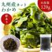 [ есть перевод специальная цена ] Kyushu производство cut . черепаха 120g цвет .. есть. нестандартный товар тоже качество *! салат * тест ..* уксус. предмет . удобный местного производства сухой . черепаха перевод есть сухой водоросли вакамэ выгода без добавок 