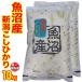 送料無料 新米 （産地直送米１等米のみ）令和元年度 新潟 魚沼産コシヒカリ 10kg（5kg×2） 沖縄 北海道 九州 四国 中国地方は送料有り 新潟 コシヒカリ 白米