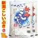 送料無料 新米 （産地直送米）【１等米のみ】 令和元年度産 新潟県産 こしいぶき 10kg（5kg×2） 白米 精米 沖縄は送料かかります