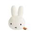 [ бесплатная доставка ]Yeppi.pMiniiep Mini подушка Miffy *ie деталь Lee булавка свечение ru специальный 