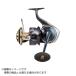 [... цена ] Daiwa 25 saltiga 18000-H