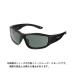 . покупка Shimano HG-064P плавающий рыбалка стакан (HG-064P) ( рама цвет : чёрный ) ( линзы цвет : натуральный зеленый )