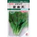 [ Komatsu na] лето Rakuten (7ml)[takii. распределение ]tane овощи вид / шпинат комацуна /takii вид рассада [ весна ..][ осень ..]GF