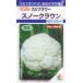 [ цветная капуста ] snow Crown [takii вид рассада ](1.3ml) овощи вид [ осень ..]DF
