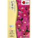 [ viola ] Bb сладкий rose [takii вид рассада ](0.2ml)[ выдерживающий холод . один год .][ осень ..]