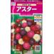 [ астер ]... смешивание [sakata. tane](1ml)[ выдерживающий холод . один год .][ весна ..][ осень ..]905020