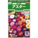 [ астер ] Matsumoto смешивание [sakata. tane](1ml)[ выдерживающий холод . один год .]906050[ весна ..][ осень ..]