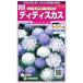 [ гонки цветок ]ti дискус [sakata. tane](1ml)[ половина выдерживающий холод .1 год .][ весна ..][ осень ..]905307