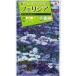 [ Ferrie sia] springs meruhen[takii вид рассада ](0.4ml)[ выдерживающий холод . один год .][ осень ..]FZZ840