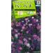[ вербена ] длинный Ran Mix [takii вид рассада ](0.5ml)[ осень ..][ весна ..]FBB210