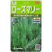 [ трава. вид ] розмарин [sakata. tane](0.2ml)[ много год .][ весна ..][ осень ..]928088