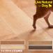  утро день дерево Tec напольное покрытие Live натуральный MSXne даллес 145 for Dog 1 цубо (3.16 flat рис )/1. пол подогрев соответствует толщина 13.5mm звукоизоляция собака ..... скольжение .... осуществление 
