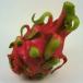  dragon fruit ( red meat )