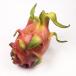  dragon fruit 