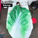  покрывало одеяло диаметр 150cm Uni -k поверхность белый одеяло .. одеяло . днем . Kett плед пицца китайская капуста арбуз рукоятка burger используя свое усмотрение выдающийся каждый день легкий в использовании 