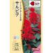  цветок вид NL300sa рубин a фламенко красный маленький пакет [FSR271][ цветок. вид ][takii. tane][ садоводство ]