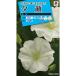  цветок вид NL150. лицо белый цветок маленький пакет [FYU112][ цветок. вид ][takii. tane][ садоводство ]