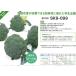 SK9-099�@�u���b�R���[��q�@�y���b�g5000���@�y��؎�q�z�y�T�J�^�̃^�l�z