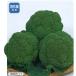  Grand -mpe let маленький пакет .(125 шарик ) брокколи семена [ овощи семена ] [sakata. tane][ брокколи. вид ]