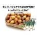  Home шар лук порей 1kg( комплект шар лук порей ) семена [ Home шар лук порей семена ][ комплект шар лук порей семена 