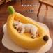  домашнее животное bed собака bed кошка осень-зима новый продукт banana гарантия . теплый 4 сезон обращение всесезонный собака для кошка для подушка коврик . пол игрушка пудель домашнее животное house модный 