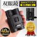 ���� �o�ዾ �R���T�[�g 40�{ ���{�� ���C�u�p �h�U 40x22 �P�[�X�t�� �y�� �h�� �X�|�[�c�ϐ�p �I�y���O���X �A�E�g�h�A �o�[�h�E�H�b�`���O