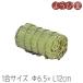 �ĕU �f�B�X�v���C�p 1���T�C�Y ��6.5xL12cm