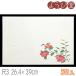 ��3 �_���a�� ���΂܂��� �l�G �����񂩁i10���`12���j 50���� 26.4x39cm