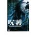   THE JUBAKU  󥿥  DVD