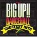 BIG UP!! DANCEHALL GREATEST HITS 2CD б/у CD
