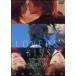 �y���Áz �����@�[�Y�E�L�X [�����^������] [DVD]