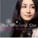 A BEAUTIFUL DAY Cover&Standard vol.2 б/у CD