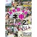 AKB48ne. tv season 4 2nd rental used DVD