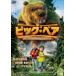  большой * Bear ..! маленький компания ... тайна. лес прокат б/у DVD