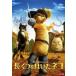 [ б/у ] длина ... да . кошка [ прокат ] [DVD] DDG118933
