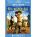 [ б/у ] длина ... да . кошка [ прокат ] [Blu-ray] [ Blue-ray ]